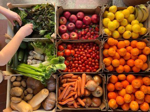 Owoce i warzywa: Jak je wybierać i dlaczego należy je jeść